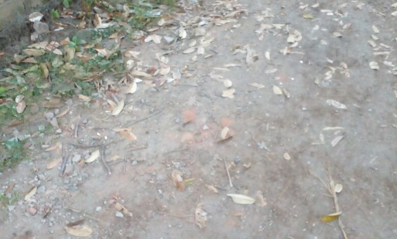 Dokumentasi Kerja Bakti Musala Bu Um