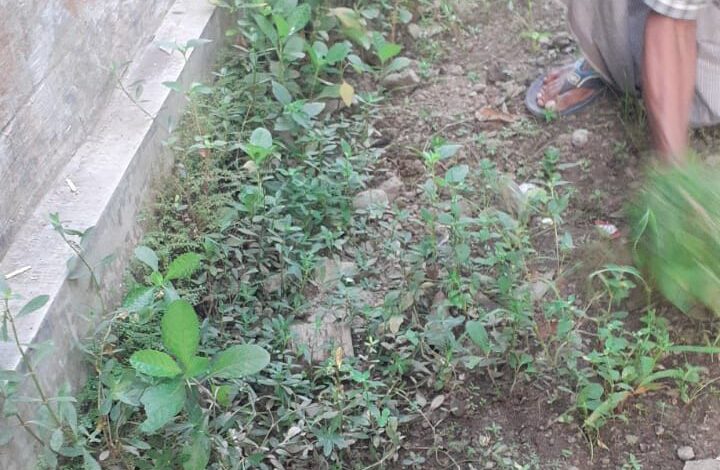 Dokumentasi Kerja Bakti Musala Bu Um