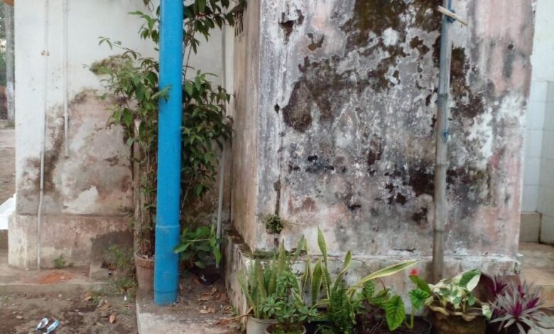 Dokumentasi Kerja Bakti Musala Bu Um