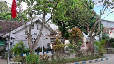 Divisi Taman