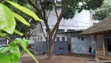 Pendaftaran Daurah
